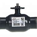 065N0162GR RJIP Premium Кран шаровой WW DN250 PN25 GF (приварной, под привод, С/П), Ридан